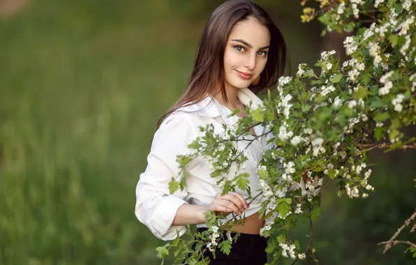 Картинка взгляд, девушка, ветки, цветение, боке, Сергей Сорокин