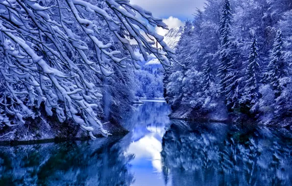 Картинка вода, снег, отражения, деревья, Зима