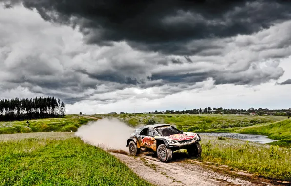 Спорт, Скорость, Тучи, Гонка, Грязь, Peugeot, Фары, Red Bull
