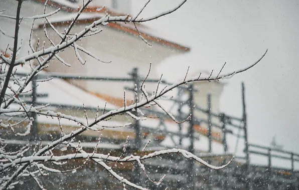 House, winter, branches, snowing