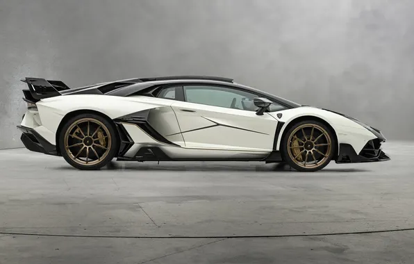 Картинка мощь, суперкар, спорткар, supercar, Lamborghini Aventador, Mansory, sports car, единственный экземпляр