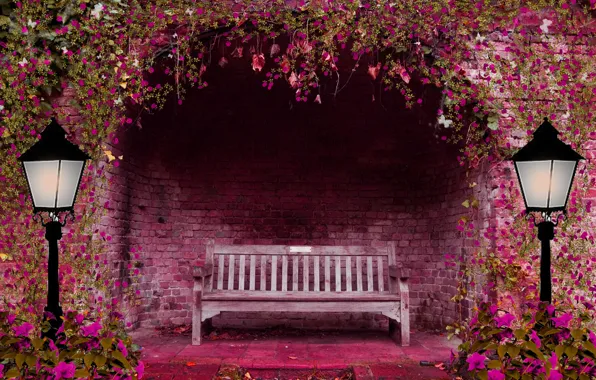 Цветы, скамейка, розовый, фонари, арка, весенний сад