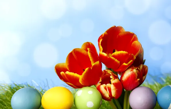 Картинка трава, цветы, яйца, весна, colorful, пасха, тюльпаны, flowers