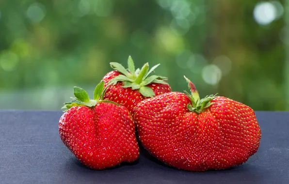 Картинка Клубника, Ягоды, Боке, Strawberries