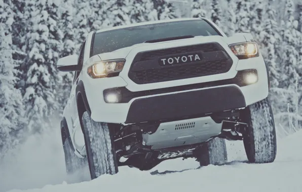 Зима, снег, white, Toyota, пикап, snow, pickup, TRD