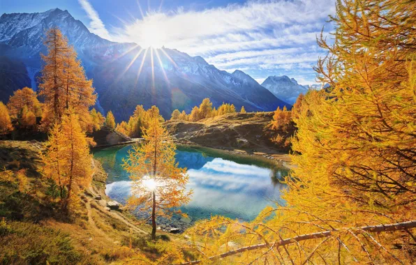 Картинка деревья, горы, озеро, восход, рассвет, Швейцария, Альпы, Голубое озеро