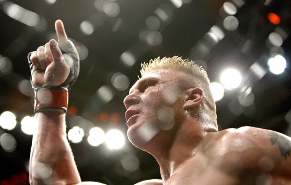 Wrestling, Lesnar, Brock