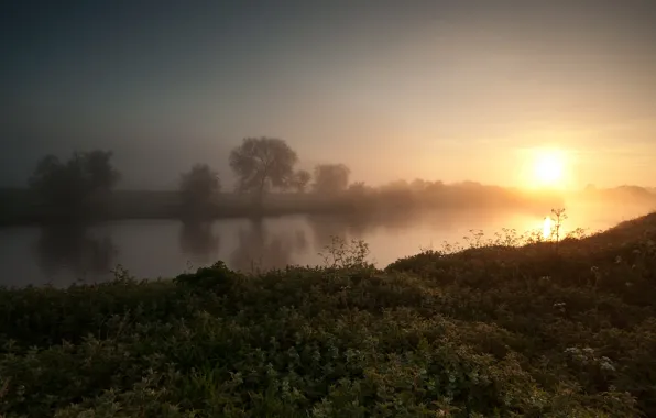 Картинка лето, деревья, туман, река, восход, утро
