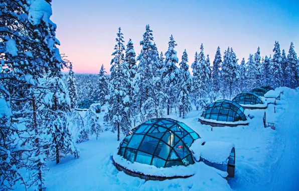 Картинка Зима, Деревья, Снег, Финляндия, Finland, Lapland, Лапландия, Kakslauttanen Arctic Resort