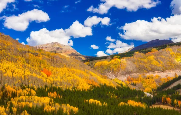Картинка осень, лес, облака, горы, Колорадо