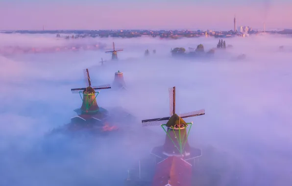 Картинка туман, Нидерланды, ветряная мельница