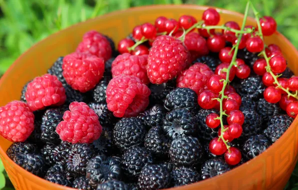 Лето, ягоды, витамины, вкусно, дача