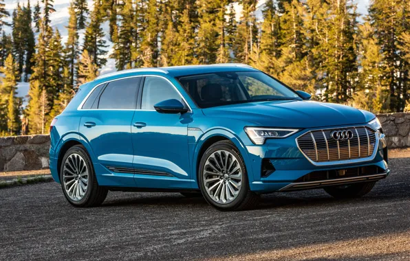 Audi, E-Tron, 2019, электрокроссовер, 55 Quattro
