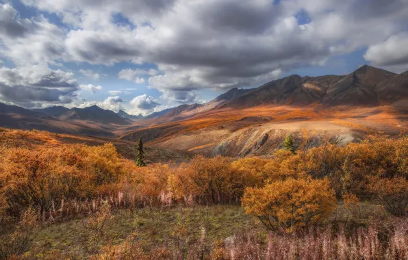 Картинка осень, облака, пейзаж, горы, природа, растительность, долина, Канада