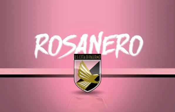 Wallpaper, sport, logo, football, Serie A, Palermo, Rosanero