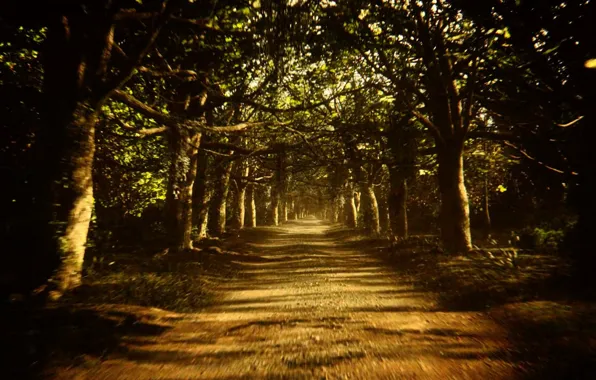 Forest, resident evil 7, tell me aunt rhody