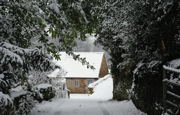 Природа, Nature, Snow Trees, Снежные Деревья, Winter House, Зимний Домик