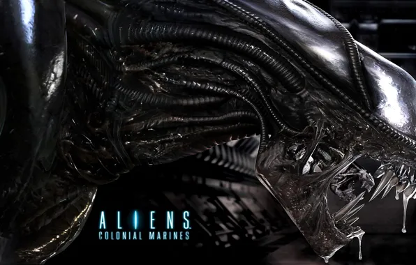 Монстр, логотип, чужой, alien, alien colonial marines