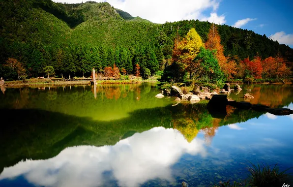 Зелень, деревья, отражение, река, камни, холмы