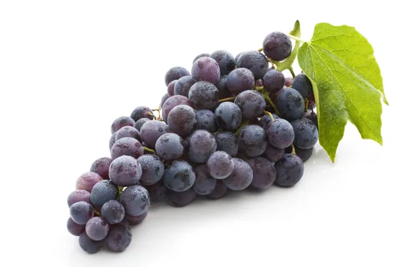 Leaves, fruit, bunch of grapes