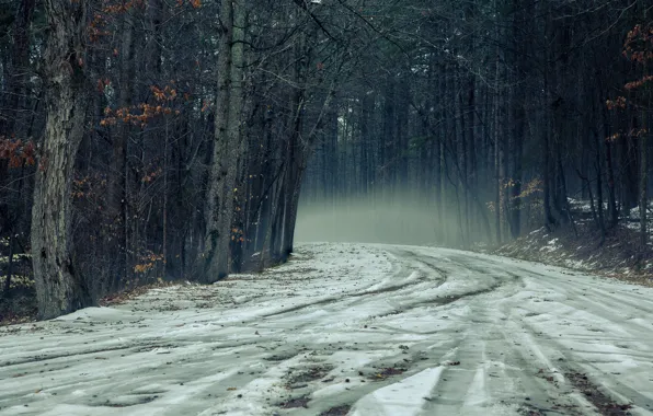 Картинка дорога, осень, туман