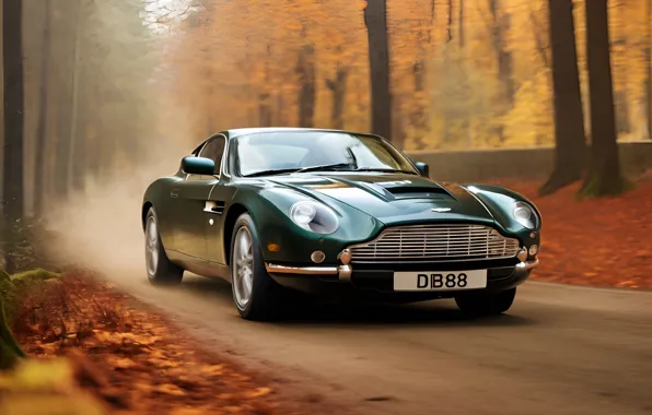 Картинка aston martin, europa, england, classic car, herbst, herbstwald, britisch, britisches auto