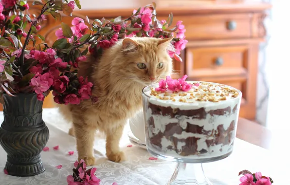 Картинка кошка, кот, взгляд, цветы, ветки, поза, уют, стол