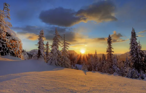 Зима, лес, снег, гора, National Park, Mount Rainier