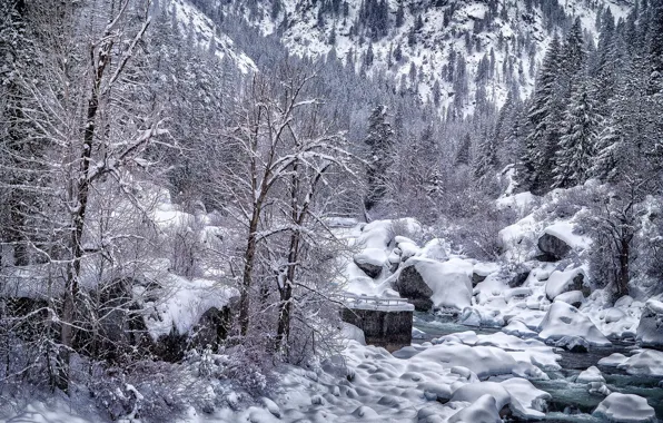 Картинка зима, снег, деревья, пейзаж, природа, река, красота