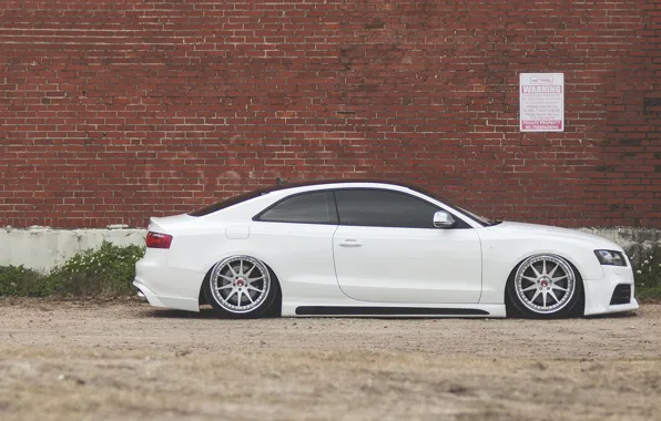 Audi, ауди, профиль, белая, white, low, stance