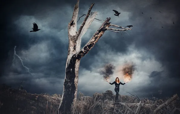 Картинка девушка, птицы, дерево, огонь, молния
