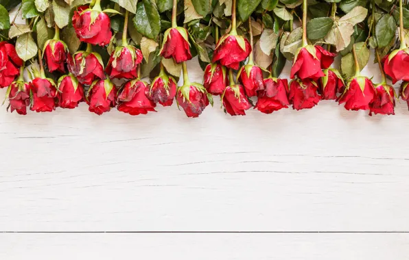 Картинка цветы, розы, букет, красные, red, бутоны, wood, flowers