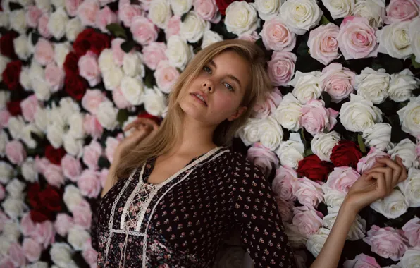 Картинка девушка, цветы, лицо, фон, красотка