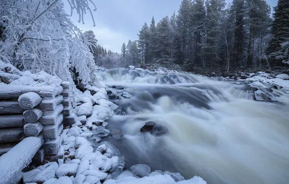 Зима, снег, пейзаж, природа, река, камни, леса, брёвна