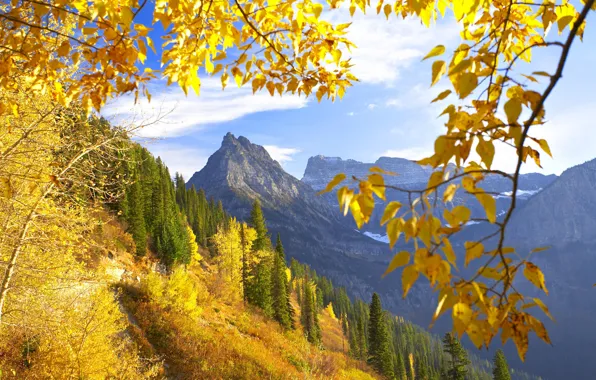 Картинка осень, горы, монтана