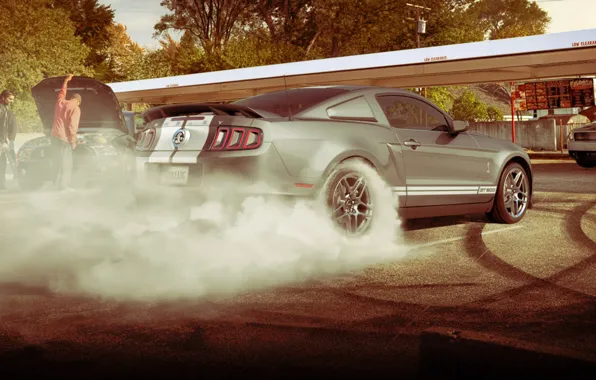 Mustang, Ford, Shelby, мустанг, мускул кар, форд, muscle car, gt500