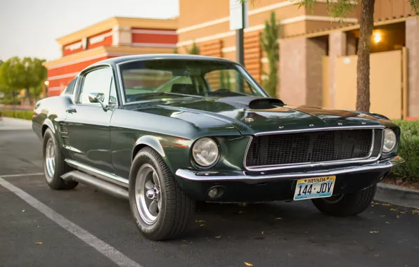 Mustang, Ford, классика, передок, Мускул кар