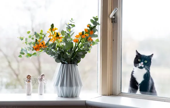 Картинка кошка, глаза, кот, взгляд, стекло, цветы, жалость, черный