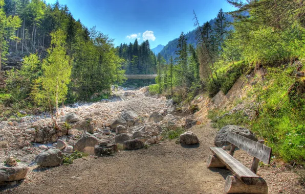 Лес, небо, деревья, пейзаж, скамейка, камни, hdr, forest