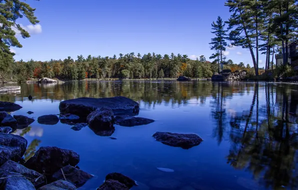 Картинка осень, лес, небо, озеро, камни