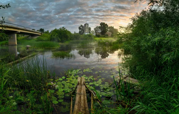 Картинка пейзаж, у реки, Псков, Роман Дмитриев, д. Виделебье