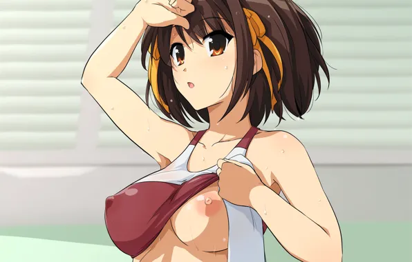 Boobs, breast, anime, tits, chest, busty, oppai, Suzumiya Haruhi