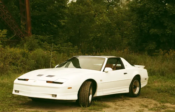 White, GTA, Trans am