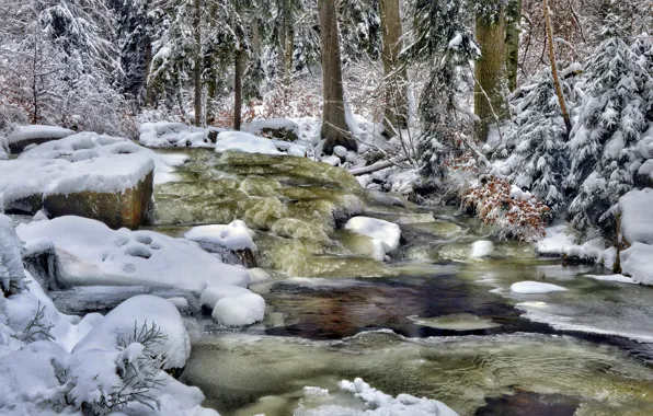Картинка зима, лес, река