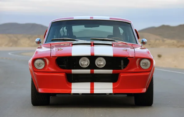 Mustang, shelby, gt500cr