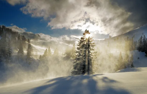 Картинка зима, лес, солнце, снег, горы, туман, ёлки