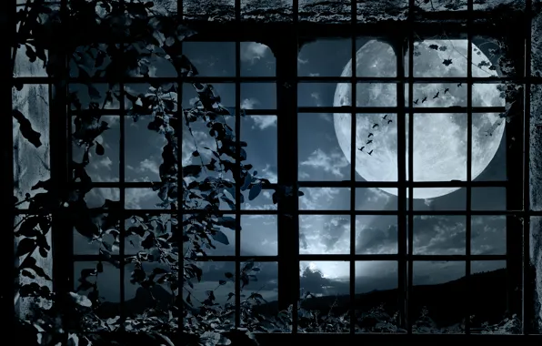 Картинка птицы, ночь, луна, растение, стая, окно, решётка, вьюнок