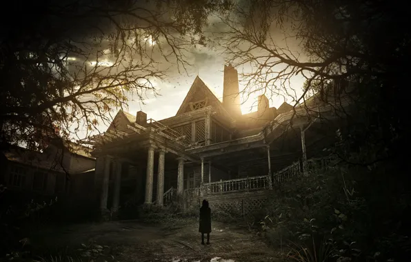Horror, biohazard, residentevil7