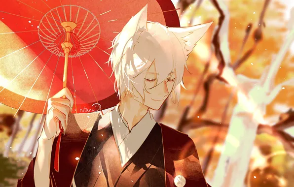 Лис, мужчина, Kamisama Hajimemashita, Tomoe