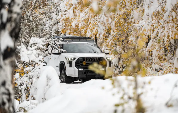 Concept, Toyota, Snow, SEMA, Forest, 2022, SEMA 2022, Toyota Trailhunter Concept